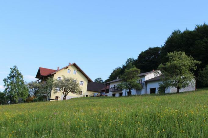 Ferienwohnung Huber Engelhartszell Exterior foto