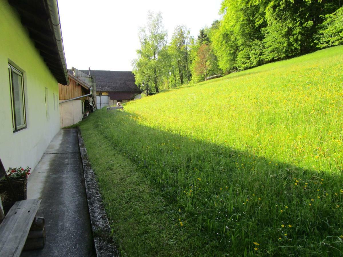 Ferienwohnung Huber Engelhartszell Exterior foto